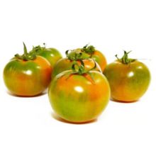 Pomodoro Tondo Liscio Alto F1