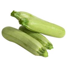 Zucchina Chiara F1