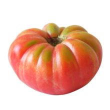 Pomodoro Belmonte