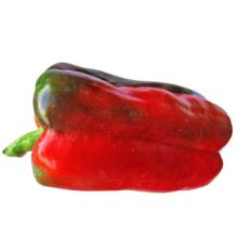 Peperone Squadrato Rosso F1